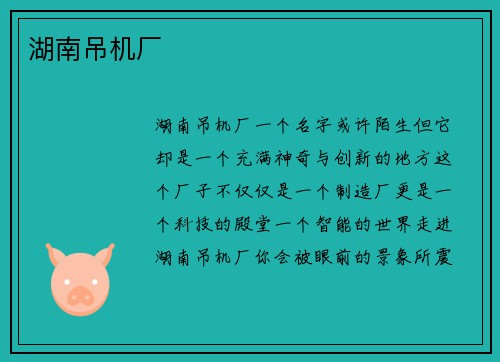 湖南吊机厂